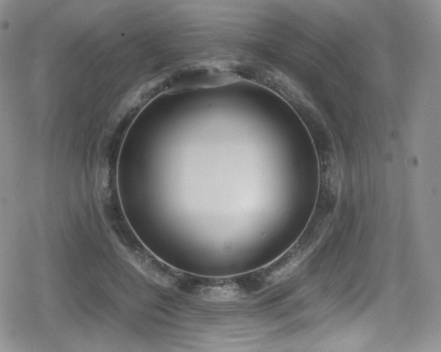 X0000080170548200612081403