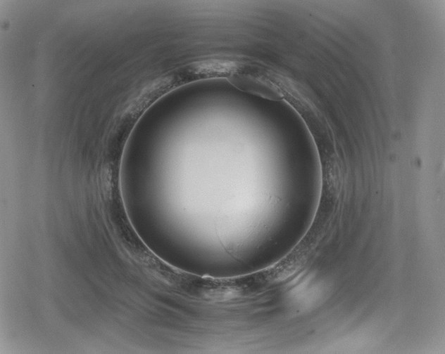X0000080170551200612081403