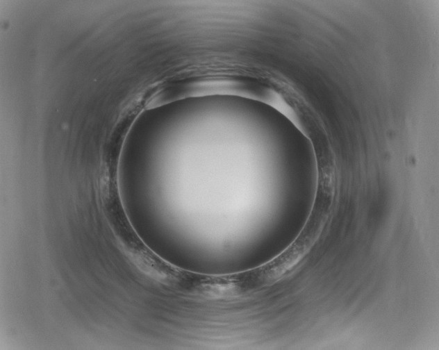 X0000080170552200612081403