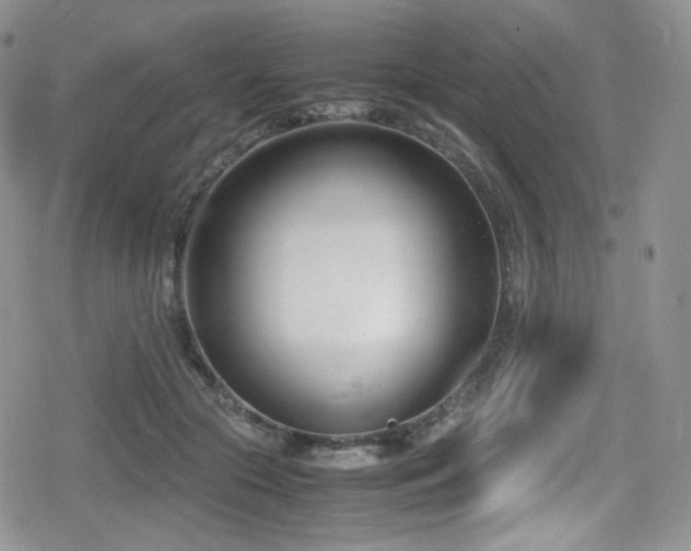 X0000080170553200612081403