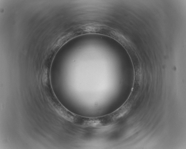 X0000080170554200612081403