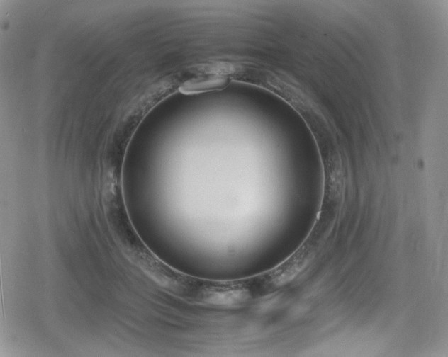 X0000080170555200612081403