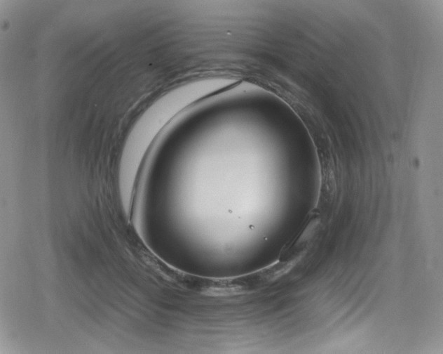 X0000080170556200612081403