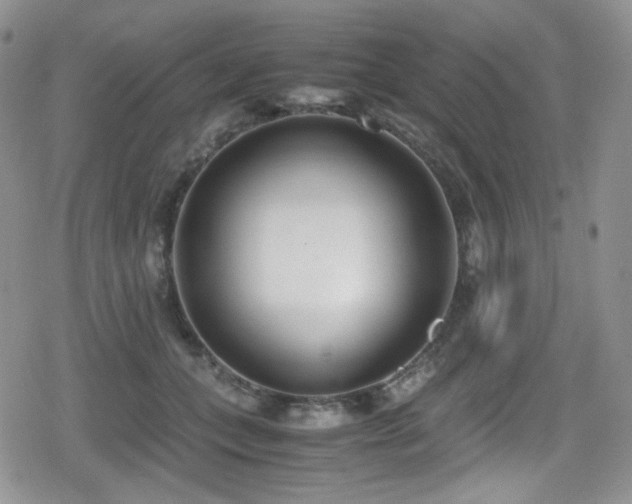 X0000080170559200612081403