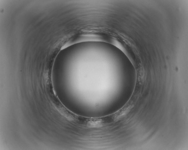 X0000080170560200612081403