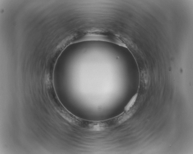 X0000080170564200612081403