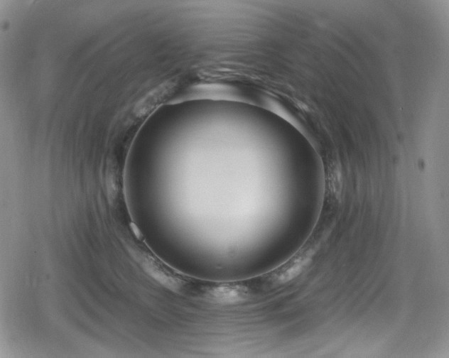 X0000080170566200612081403