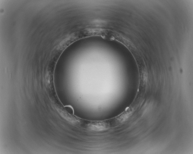 X0000080170567200612081403