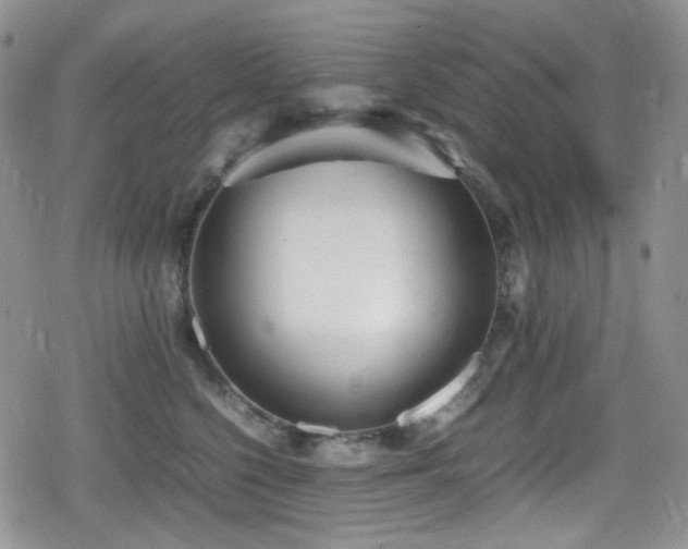 X0000080170568200612081403