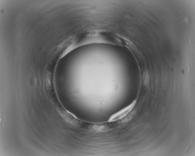 X0000080170570200612081403