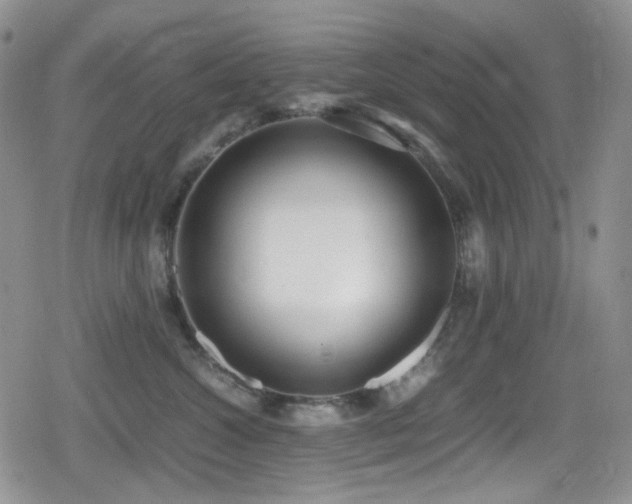X0000080170572200612081403