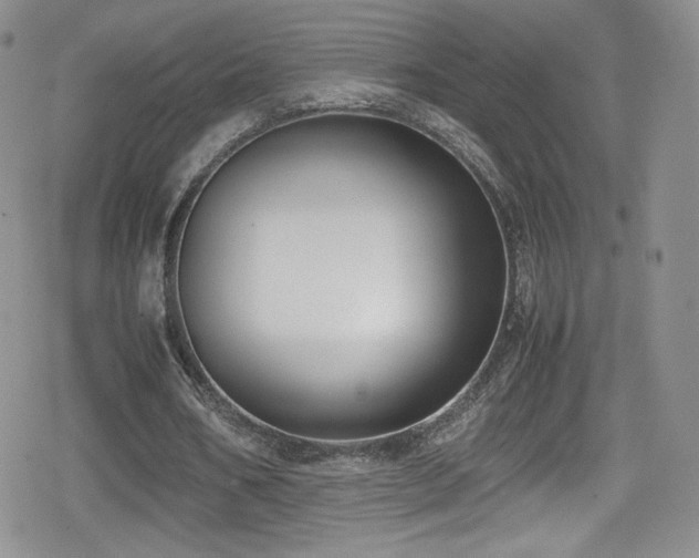 X0000080170578200612081403