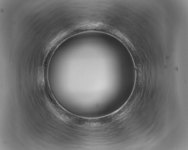 X0000080170582200612081403