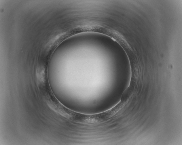 X0000080170596200612081402