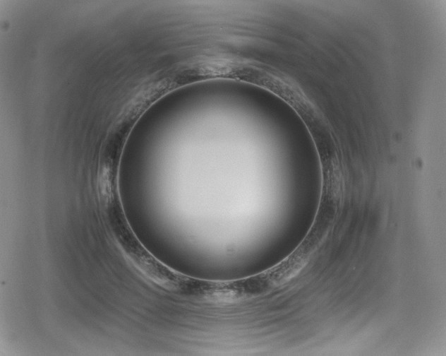 X0000080170598200612081402