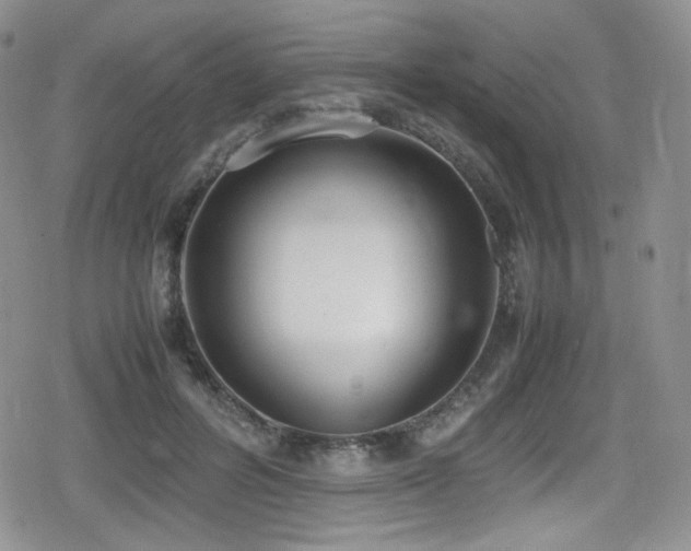 X0000080170600200612081402