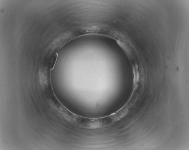 X0000080170604200612081402