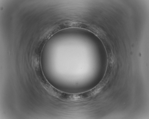 X0000080170607200612081402