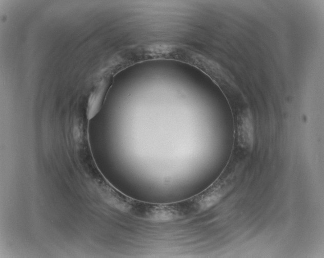 X0000080170608200612081402
