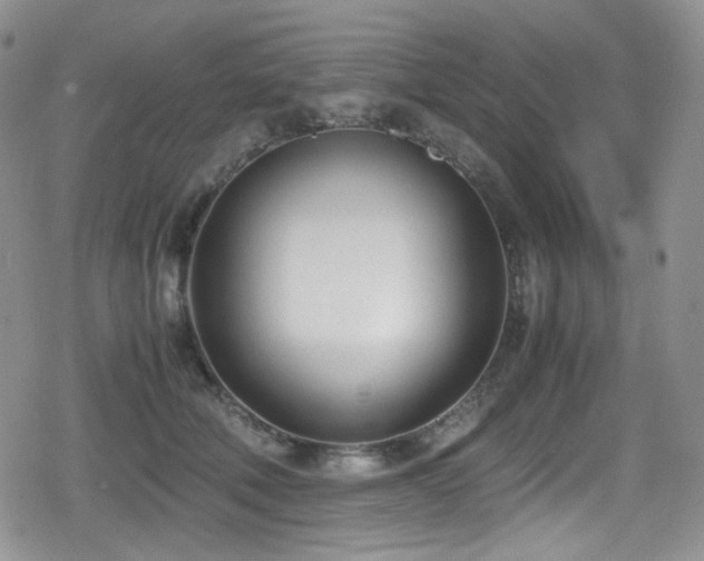 X0000080170610200612081402