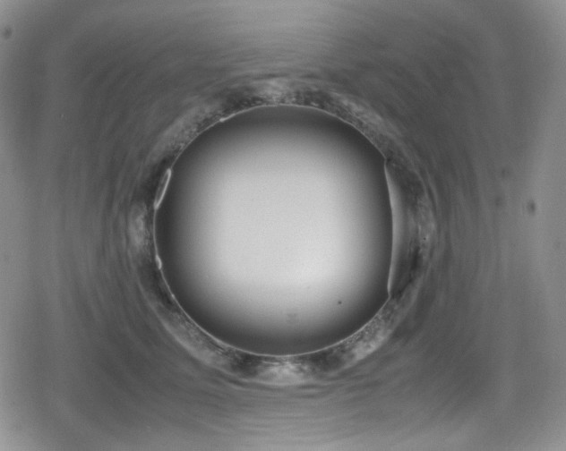 X0000080170611200612081402