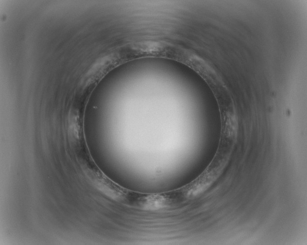 X0000080170612200612081402