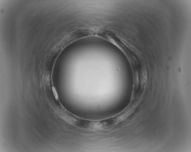 X0000080170613200612081402