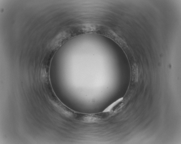X0000080170614200612081402