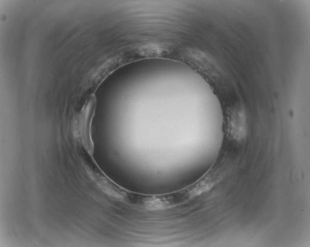 X0000080170616200612081402