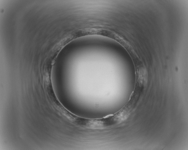 X0000080170617200612081402