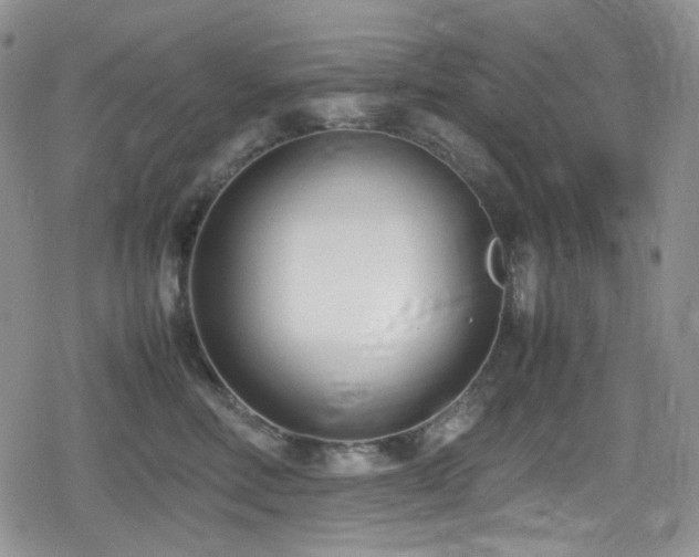 X0000080170618200612081402