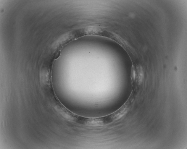 X0000080170619200612081402