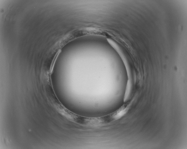 X0000080170621200612081402