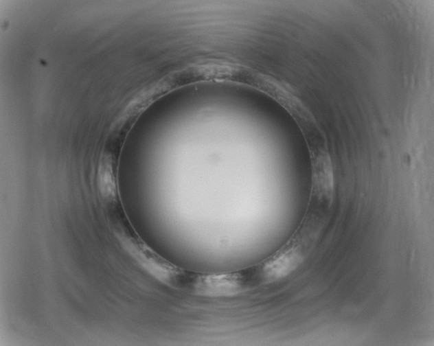 X0000080170622200612081402