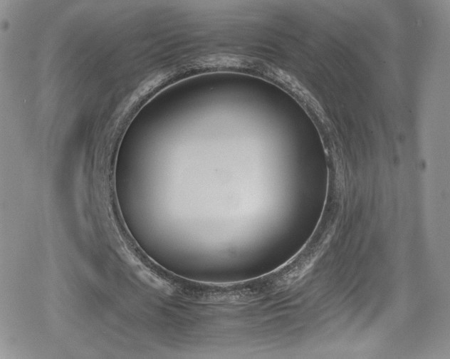 X0000080170625200612081401