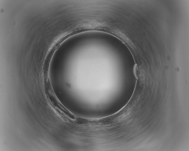 X0000080170626200612081401