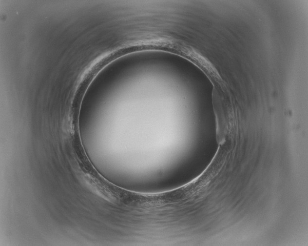 X0000080170628200612081401