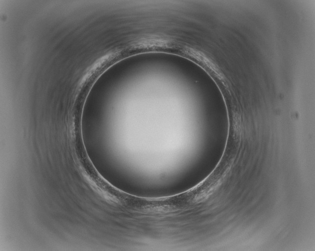 X0000080170629200612081401