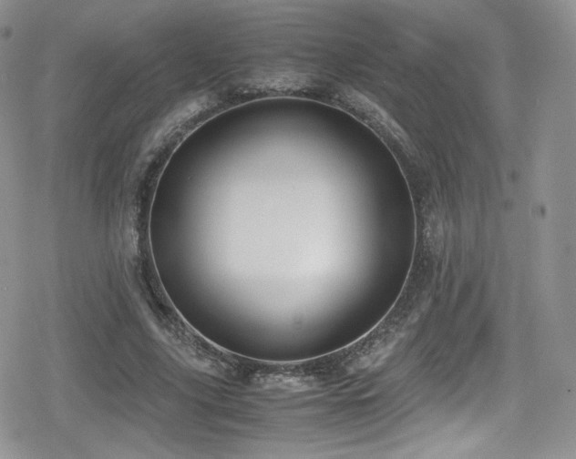 X0000080170635200612081401