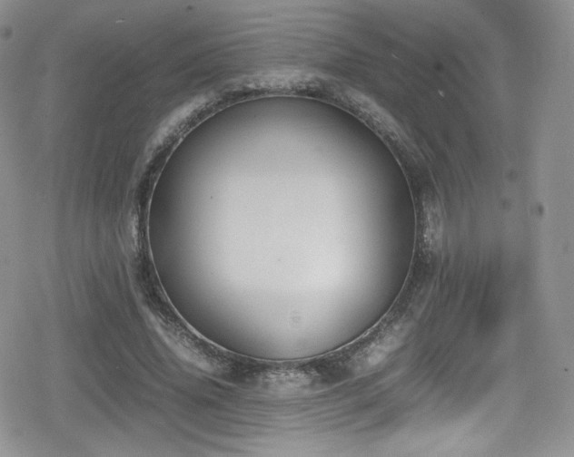 X0000080170636200612081401