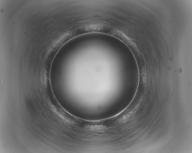 X0000080170637200612081401