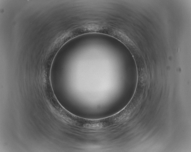 X0000080170639200612081401