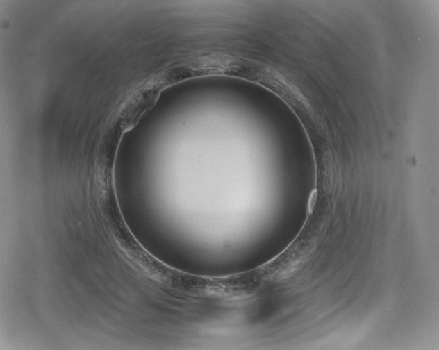 X0000080170641200612081401