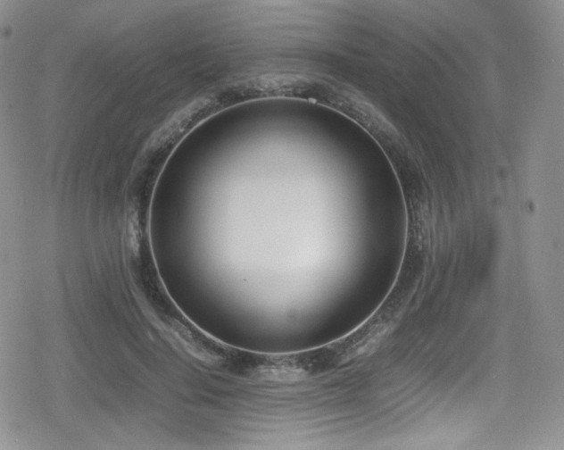 X0000080170644200612081401