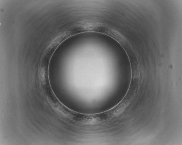 X0000080170646200612081401