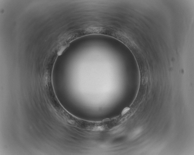 X0000080170647200612081401