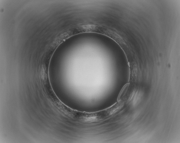 X0000080170651200612081402