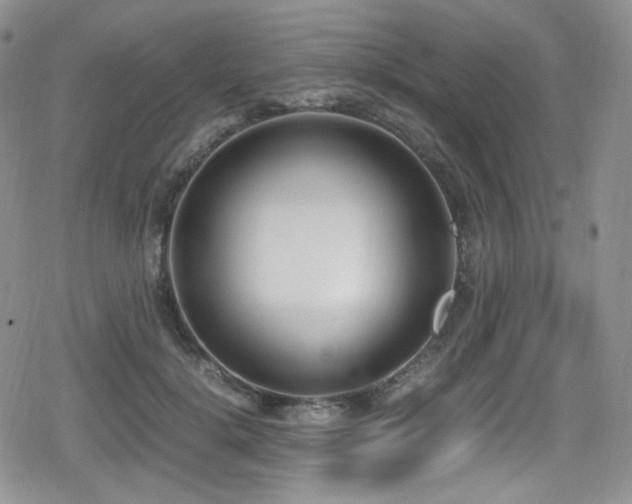 X0000080170652200612081402