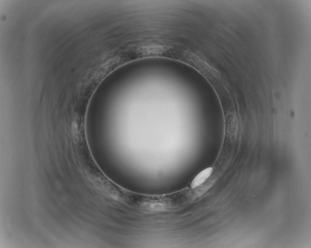 X0000080170655200612081402