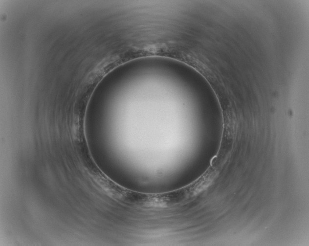 X0000080170656200612081402